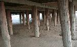 Image Under the wharf, click to select
